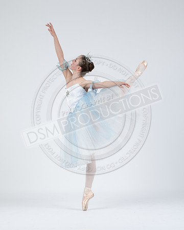 DDC Nutty 25-129
