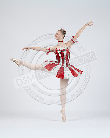 DDC Nutty 25-212