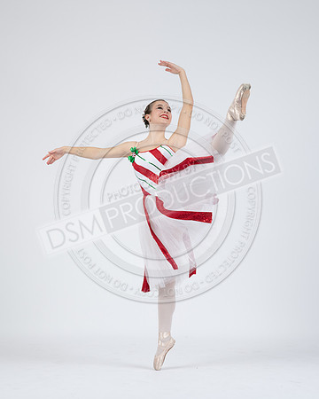 DDC Nutty 25-215