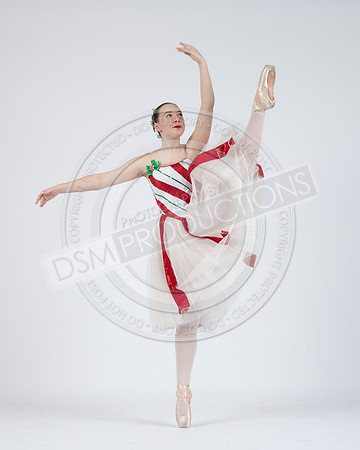 DDC Nutty 25-224