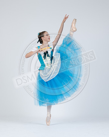 DDC Nutty 25-292