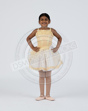 nsb-_8503349