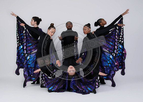15pieces-_DAV0583