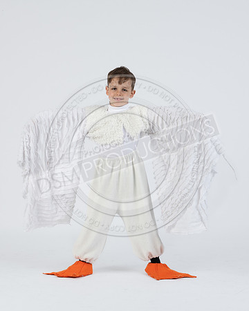 nsb-_8502917