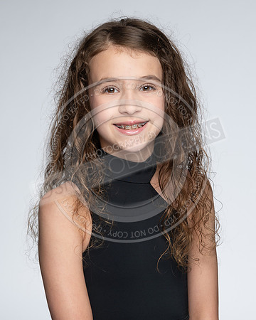 _DAV8291