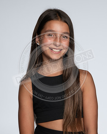 _DAV8324